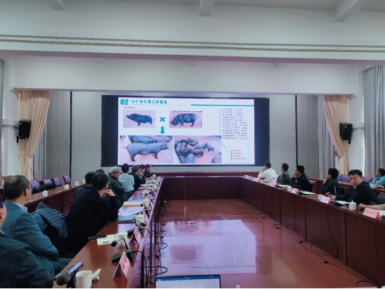 bevictor伟德官网