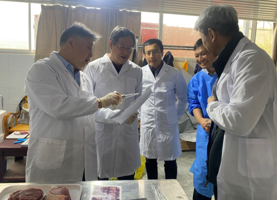 bevictor伟德官网