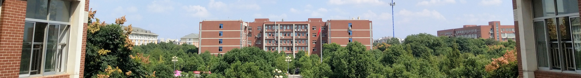 bevictor伟德官网