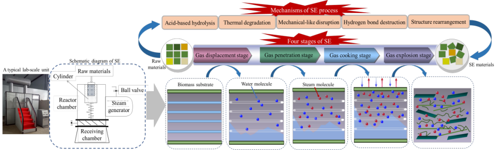 bevictor伟德官网
