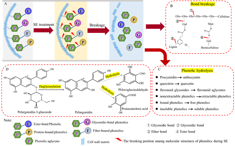 bevictor伟德官网