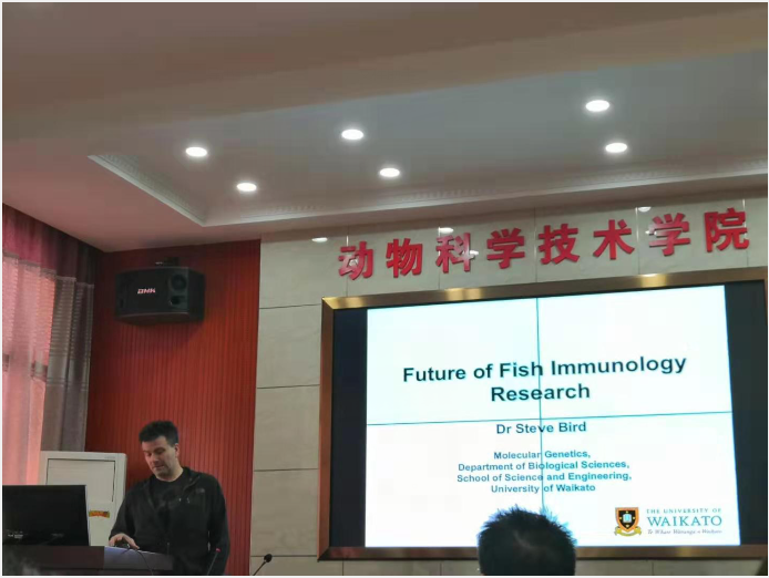 bevictor伟德官网