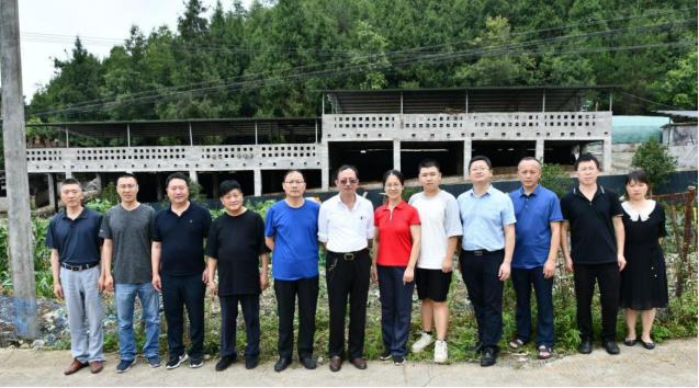 bevictor伟德官网