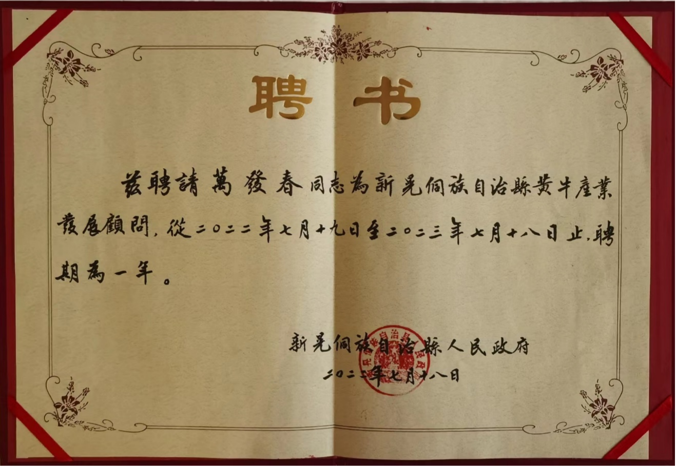 bevictor伟德官网