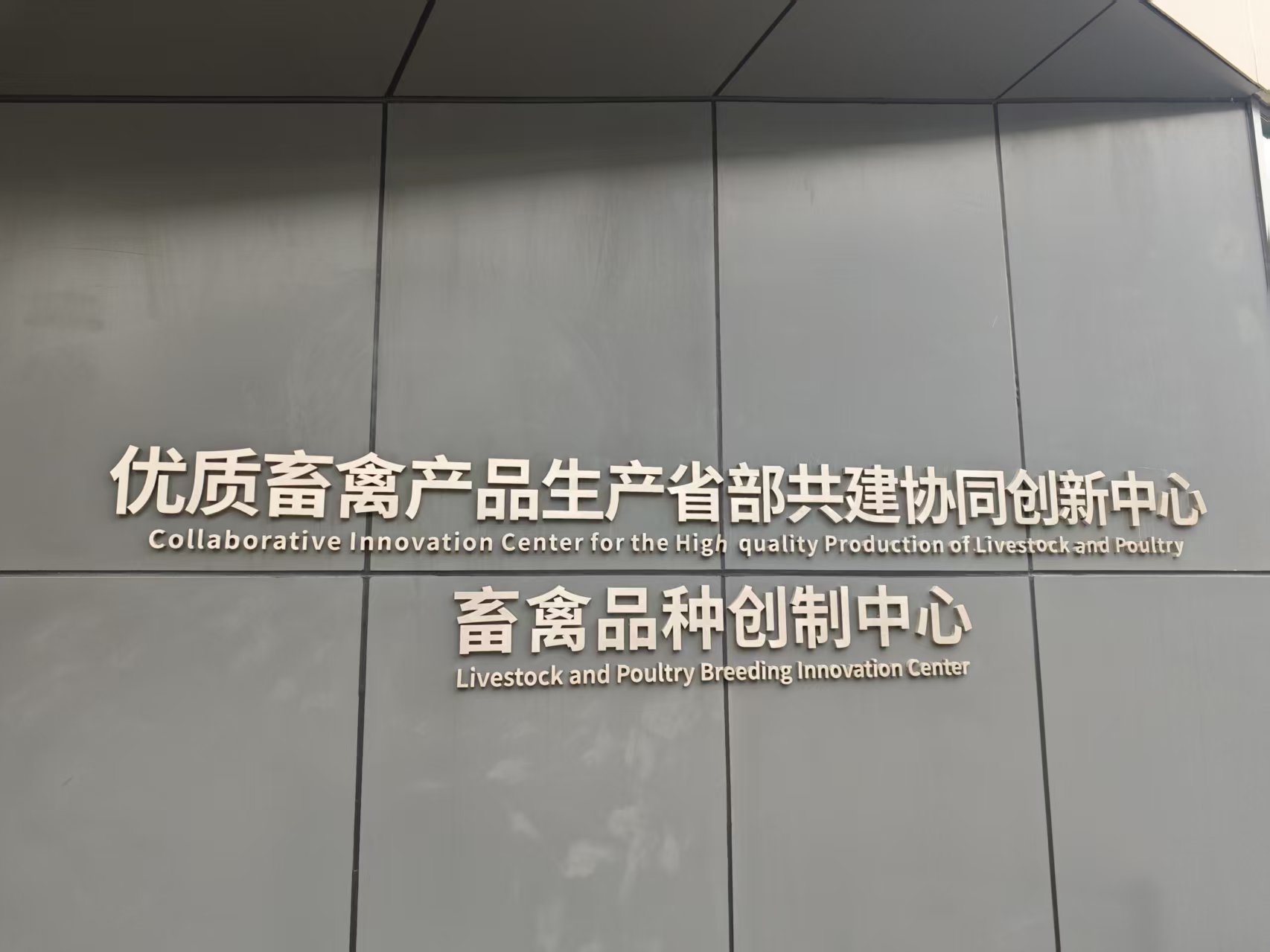 bevictor伟德官网