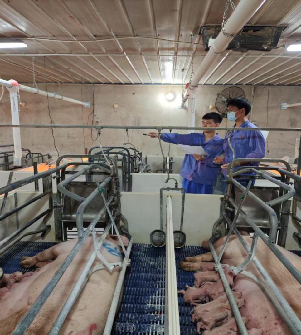 bevictor伟德官网