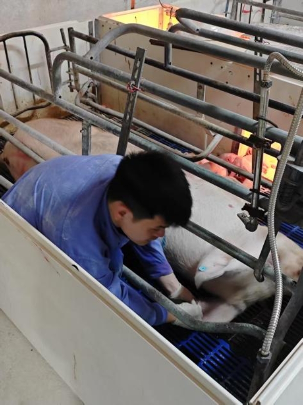 bevictor伟德官网