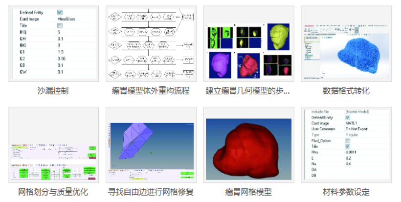 bevictor伟德官网