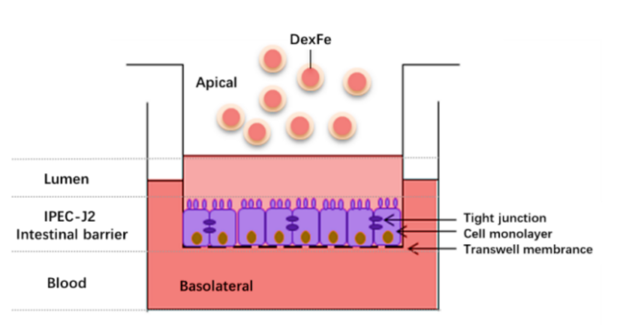 image.gif bevictor伟德官网
